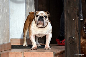 DSC_0195